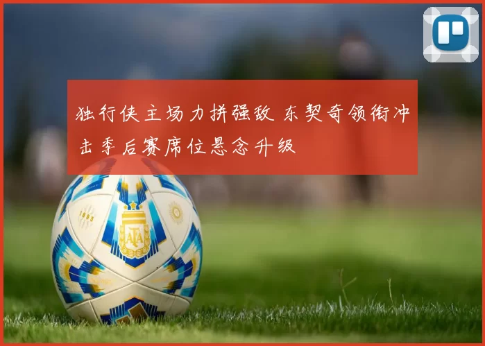 独行侠主场力拼强敌 东契奇领衔冲击季后赛席位悬念升级