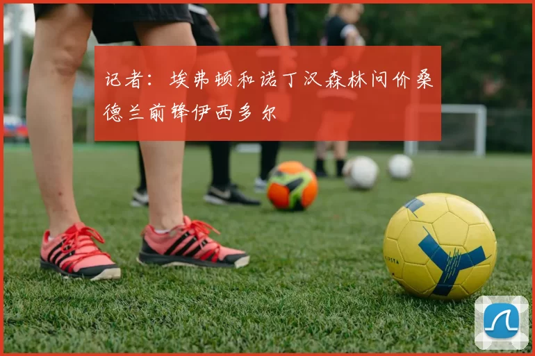 记者：埃弗顿和诺丁汉森林问价桑德兰前锋伊西多尔