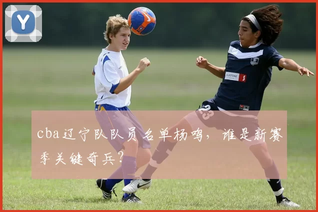 cba辽宁队队员名单杨鸣，谁是新赛季关键奇兵？