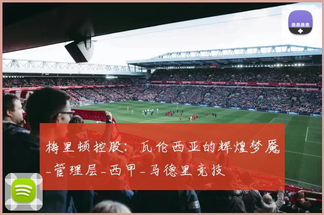 梅里顿控股：瓦伦西亚的辉煌梦魇_管理层_西甲_马德里竞技