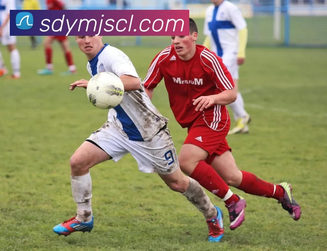 开云手机官方版在线入口 - 开云(中国)平台生态图