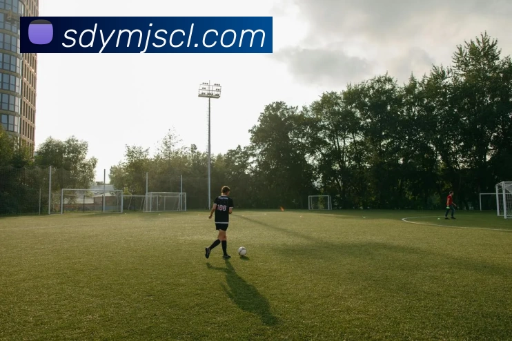 开云「中国」Kaiyun·官方网站 - 国内一流技术服务商全站App 开云「中国」Kaiyun·官方网站 - 国内一流技术服务商全站App