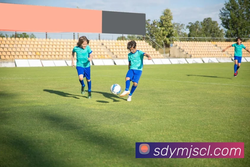 开云手机官方版在线入口 - 开云(中国)全站App 开云手机官方版在线入口 - 开云(中国)全站App